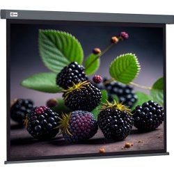 Настенно-потолочный рулонный экран Cactus Wallscreen CS-PSW-127x127-SG 1678295 Wallscreen CS-PSW-127x127-SG